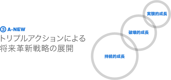 3.A-NEW トリプルアクションによる将来革新戦略の展開