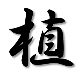 植